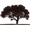 Concerned Country Care Square Logo